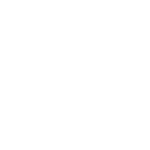 NexVaults IPTV service logo